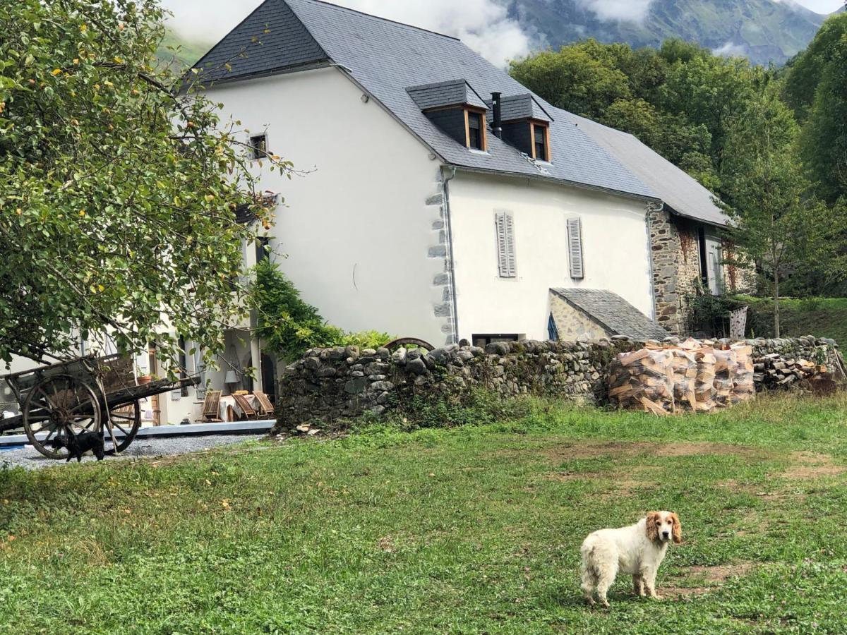 Bed and Breakfast L 'Air D'Aspe Accous Esterno foto